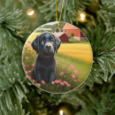 Recherche de labrador retriever ornements Labo