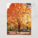 Recherche de dinde sauvage cartes postales Vacances