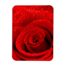Recherche de floraison magnets Abstrait