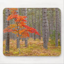 Suche nach ahornbaum mousepads Michigan