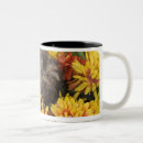 Recherche de poo tasses Animal