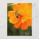 Recherche de cosmo cartes postales Pour elle