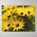 Suche nach milbe poster Natur