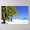 Suche nach cook poster Paradies