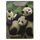 Recherche de gansu Animal