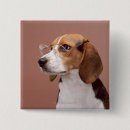 Recherche de beagle badges Animaux domestiques