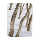 Suche nach schneebedeckte bäume magnete Baum