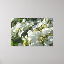 Suche nach strauch kunst Blumen