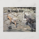 Suche nach zootiere postkarten Fotografie