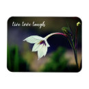 Recherche de vivant magnets Motivation