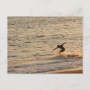 Suche nach surfer typ poster Strand