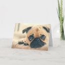 Suche nach herz möpse karten Hund