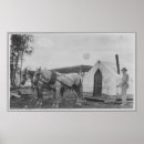 Suche nach arbeitspferde poster Fotografie