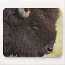 Suche nach south dakota mousepads Natur