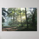 Suche nach sonnenlicht poster Pfad
