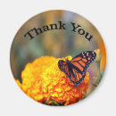 Suche nach marigold magnete Blume