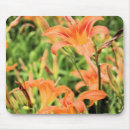 Recherche de fleur lys tapis souris Vert