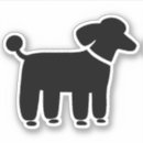 Recherche de caniche électronique Animaux