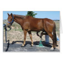 Recherche de sabots cartes postales Chevaux
