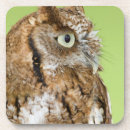 Suche nach braune eule untersetzer Natur