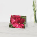 Suche nach hibiskus karten Rot