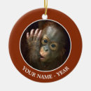 Recherche de orang outan ornements Jour