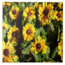 Suche nach auge fliesen Grün