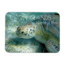 Recherche de de tortue de mer magnets Sous marin