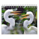 Suche nach wild lebende tiere kalender Wildtiere