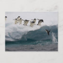 Recherche de plongée cartes postales Motion