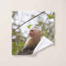 Recherche de monkey le photographie Faune