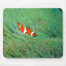 Suche nach japaner mousepads Schwimmen