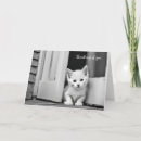 Suche nach schwarz weiße katze karten Niedlich