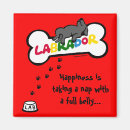 Suche nach bauch magnete Lustig