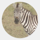 Suche nach kenya aufkleber Streifen