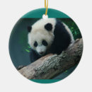 Recherche de animaux de zoo ornements Mignon