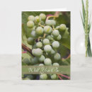 Recherche de raisins verts invitations Vigne