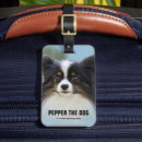 Recherche de de race bagages étiquettes Chien mignon