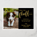 Recherche de chien nouvel an cartes Année de ruée