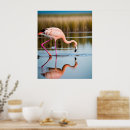 Recherche de plumes roses posters Flamant