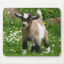 Suche nach ziegen mousepads Haustier