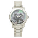 Recherche de koala ours montres L'australie