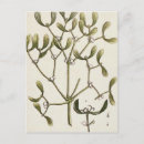 Recherche de gui cartes postales Illustration