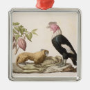 Recherche de singe ornements Animaux