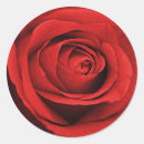 Suche nach rote farbe aufkleber Schick