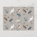 Suche nach amerikanischer vogel poster Elegant