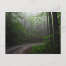 Suche nach north carolina poster Pisgah nationalwald