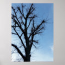 Suche nach klarer himmel poster Winter