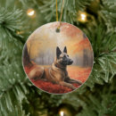 Recherche de malinois belges ornements Dog