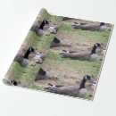 Suche nach gänse geschenkpapier Vogelvogel